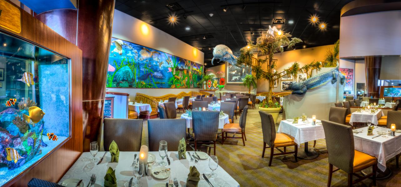 A wideshot of a restaurant dining room with an aquarium, a cypress tree, and figures of alligators, manatees, and wild birds.