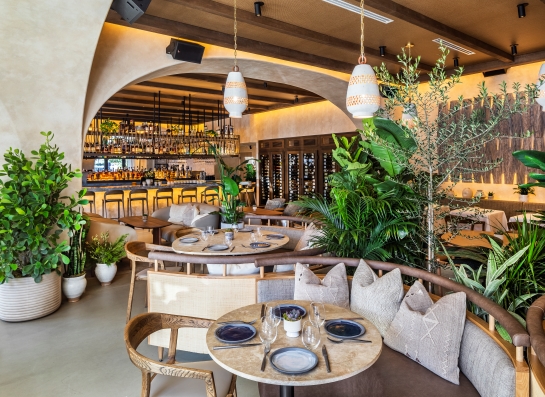 A rustic dining area with stucco walls, wooden furniture, and large green plants.