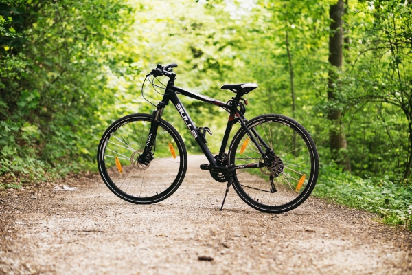 A black bike stands on a dirt trail surrounded by shrubby greenery.