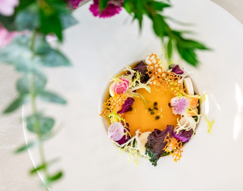An aerial shot of a dish garnished with honeycomb, pink radishes, and purple greens with blurred leaves arching in the foreground.