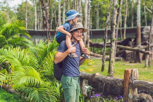 A man in a safari hat and t-shirt carries a young boy in a blue hat on his shoulders, looking out at a zoo exhibit surrounded by trees and palm leaves. 