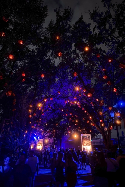 A spooky grove of trees lit with floating orange lanterns above a crowd of people at Halloween Horror Nights Orlando. 