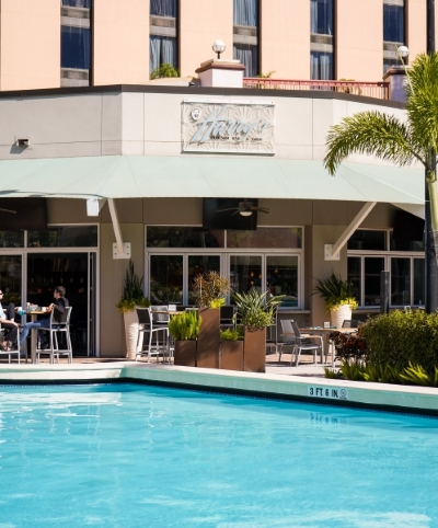 The Exterior of Harry's Poolside Bar and Grill with a pool view and a palm tree.