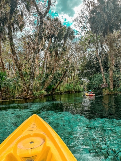 The front of a yellow kayak looking out at clear river water surrounded by scrubby trees and greenery. 