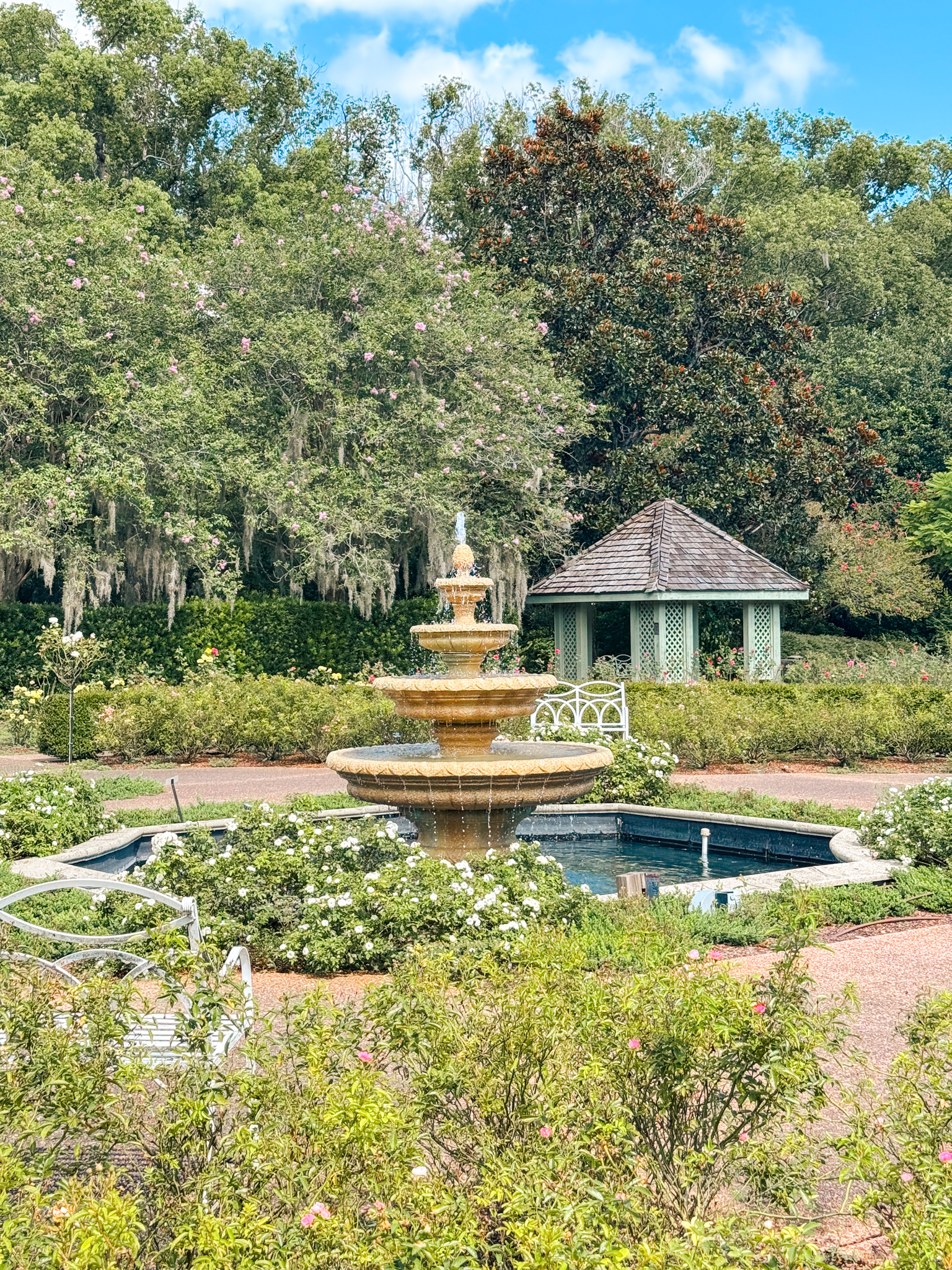 A tiered fountain surrounded by beautiful rose gardens and a small gazebo at Leu Gardens in Orlando.