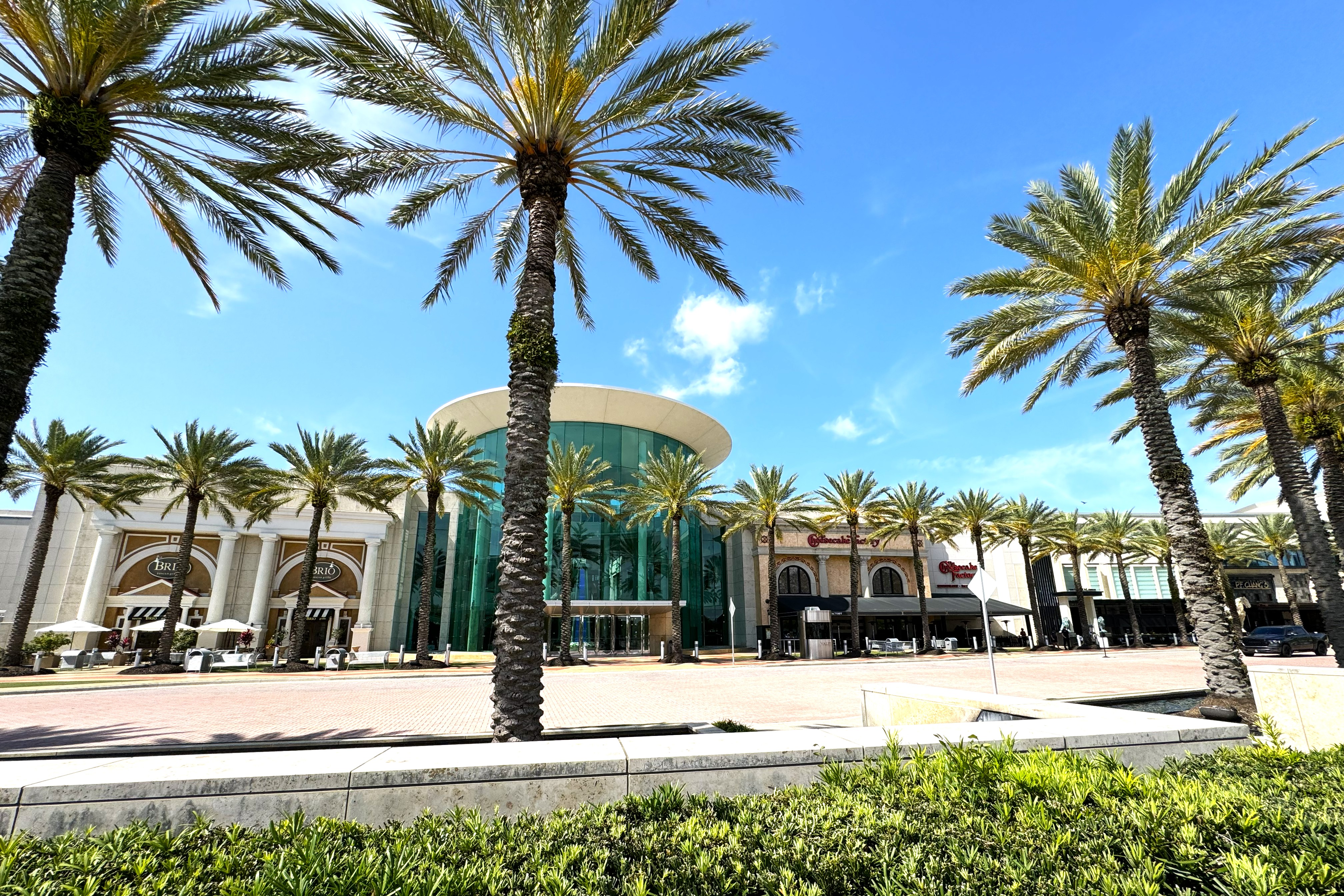 The exterior of Mall at Millenia with palm trees out front. 