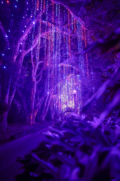 Dazzling Nights is an amazing winter wonderland in Orlando with millions of sparkling Christmas lights.