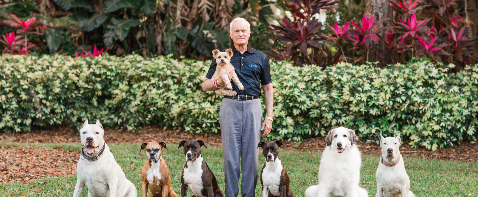 Mr. Rosen and his Dogs