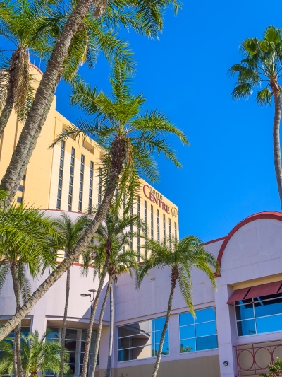 Palm trees dance in front of a clear blue sky at Rosen Centre in Orlando, a perfect getaway for celebrating the holidays in Florida style.
