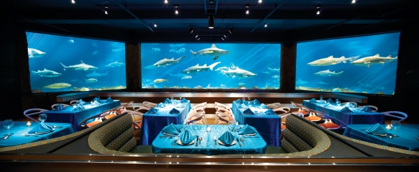 The dimly lit interior of an elegant restaurant with a large aquarium wall displaying swimming sharks. 