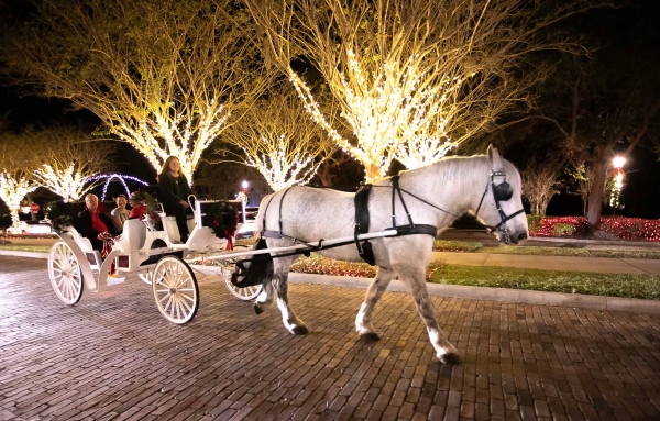 A white horse draws a white carriage with guests surrounded b lit trees. 