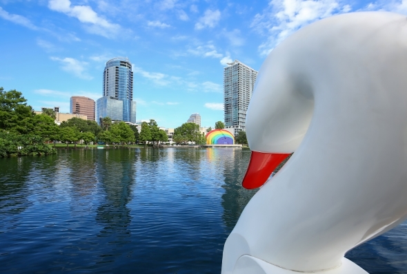 The front of a swan paddle boat overlooking a dark lake surrounded by trees, tall buildings, and a rainbow amphitheater. 