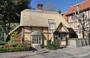 Tea Rooms in Orlando - Tea Caddy Shop at EPCOT