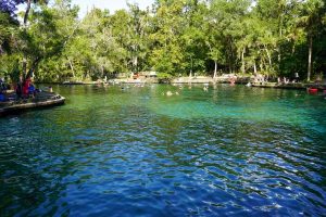 Wekiwa Springs State Park in Apopka, Florida