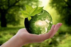 Green globe for green meetings