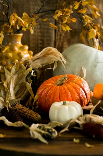 Three pumpkins on a wooden table surrounded by yellow leaves and maize, a lovely Thanksgiving setting.