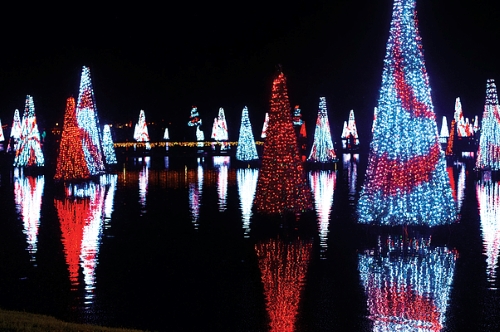 A nighttime shot of colorfully lit Christmas trees seemingly floating on the surface of the lagoon at SeaWorld Orlando.
